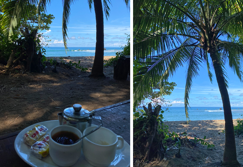 koffie onder de palmboom