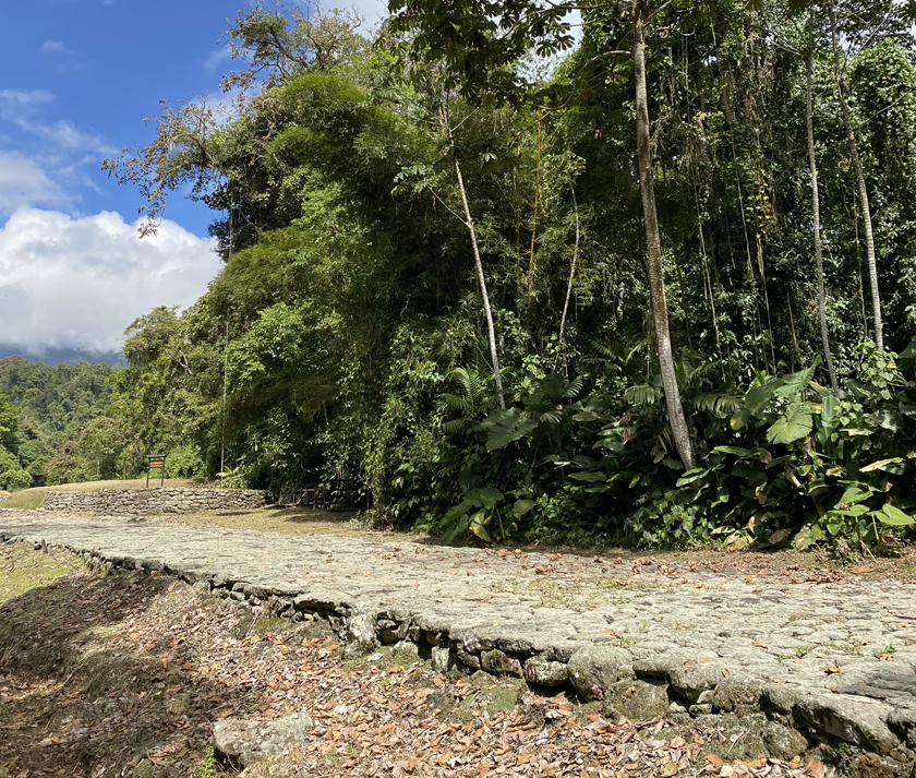 pre-colombiaanse steenweg