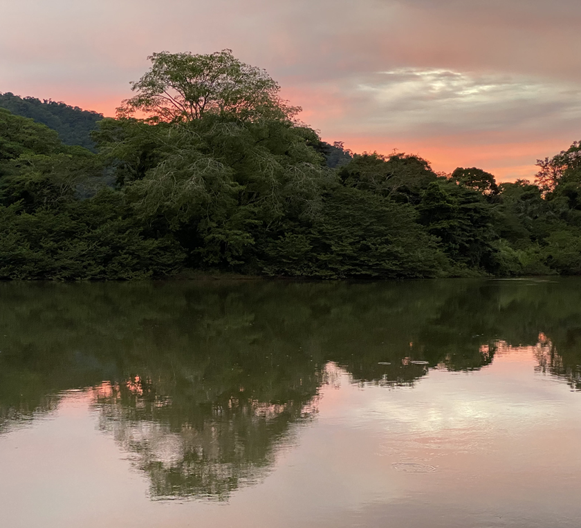 roze reflectie in san juan rivier