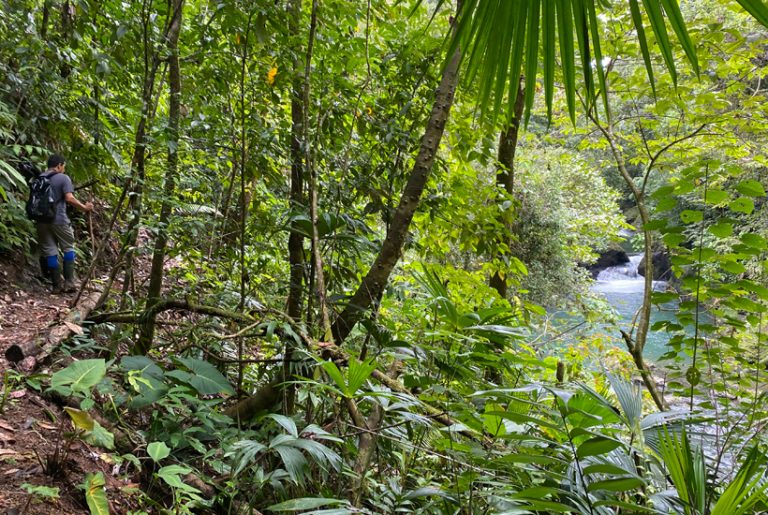 Wandelingen in Drake Bay en Los Planes