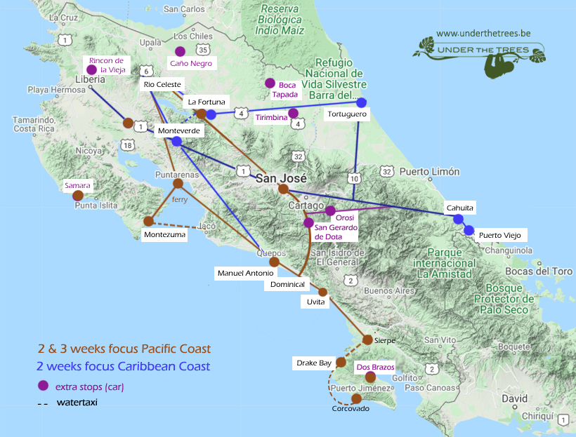 Verwachting Nieuwe betekenis Hysterisch Rondreis Costa Rica 2 of 3 weken: natuur en wildlife - Under the Trees