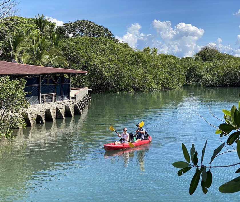 kayak mangrove Puerto Jimenez