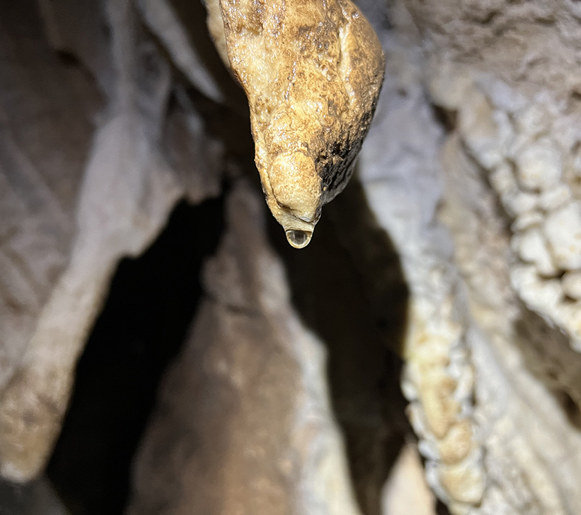 formatie van een stalactiet in barra honda