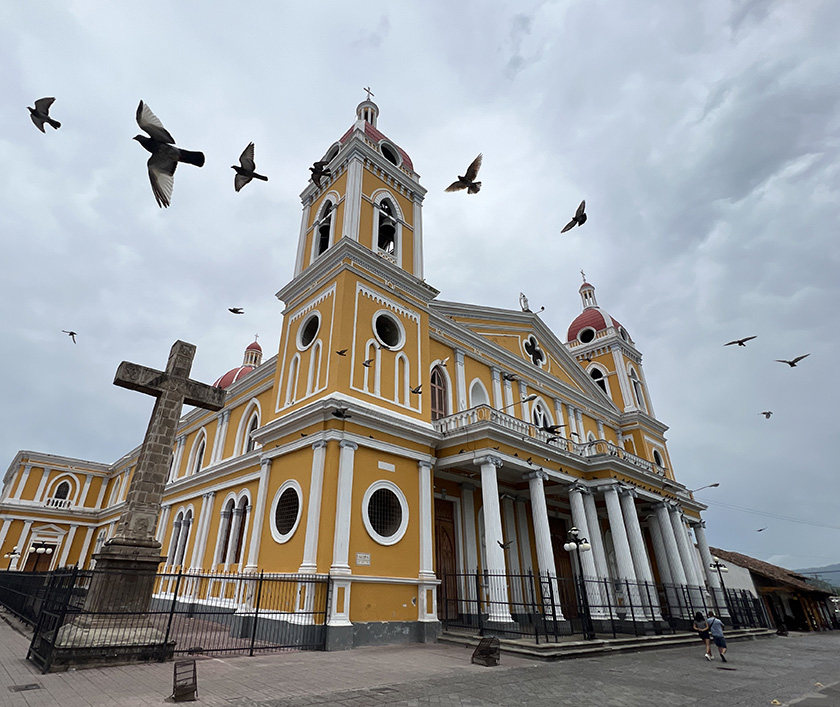 duiven aan gele kathedraal granada nicaragua