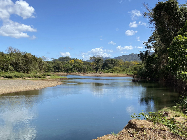 rio nosara vanuit nature reserve