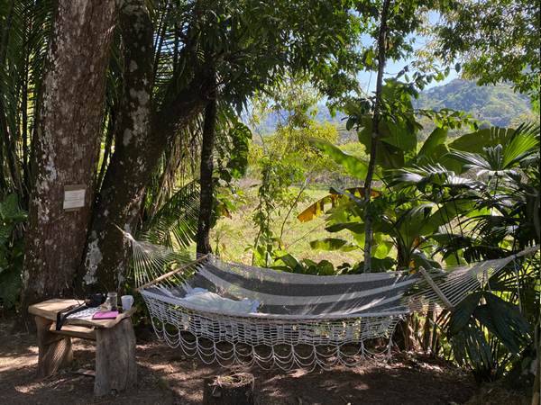 hangmat in tuin jungle retreat san ramon de rio blanco