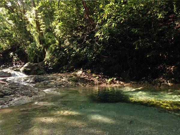 heldere rivier in karen mogensen natuurreservaat