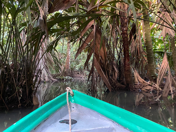 met kano door kanalen in tortuguero