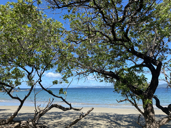 onder de bomen strand rajadita