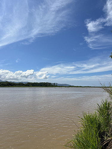 tarcoles rivier bij guacalillo