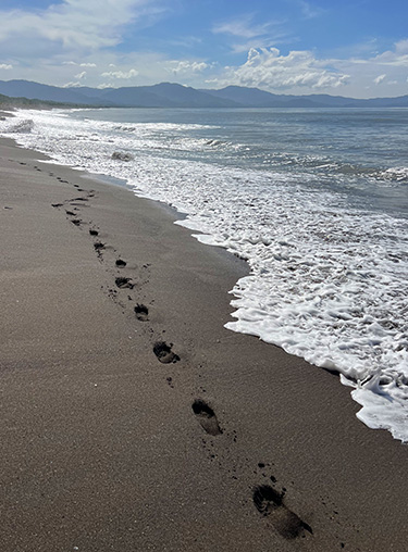 voetafdrukken op het strand