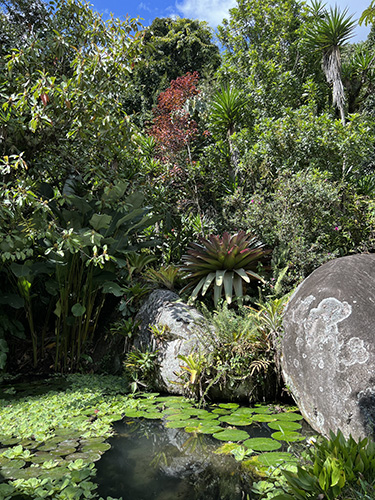 tropische tuin secret garden