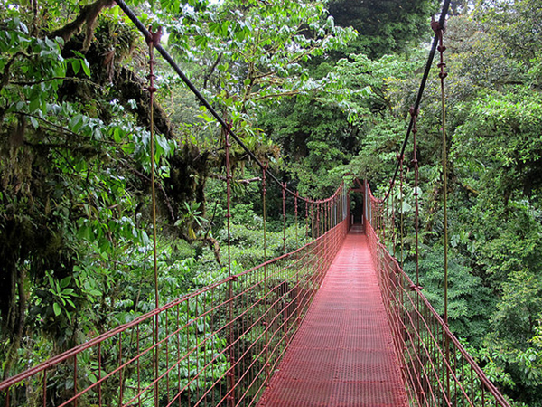 monteverde cloud reserve rode brug
