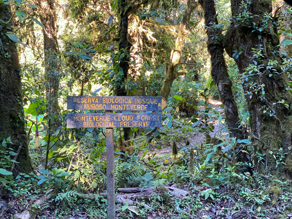 monteverde cloudforest reservaat