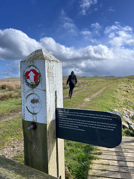 fairhead wandeling