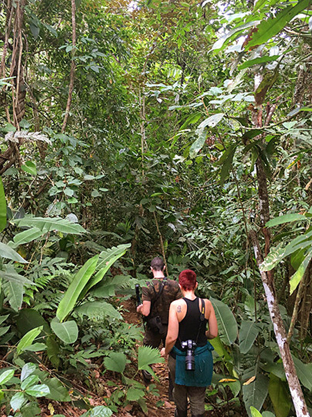 jungle walk in la ceiba
