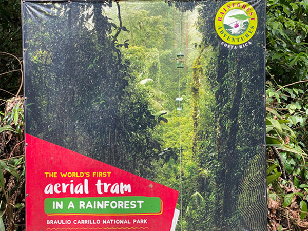 luchttram in het regenwoud van costa rica