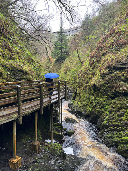 plankenpad in glenariff