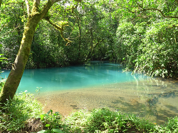 rio celeste meeting of the waters