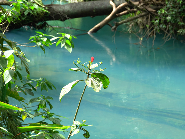 turquoise rivier costa rica rio celeste