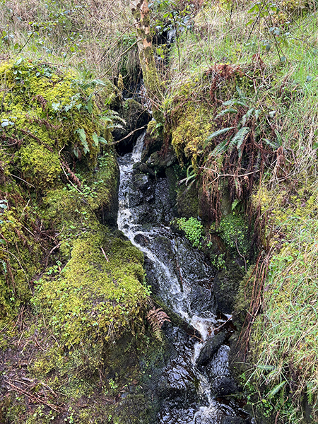 water in glenariff