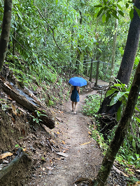 Drake bay hiking trail in de regen