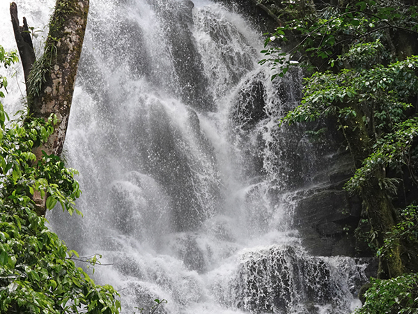 waterval in rincon