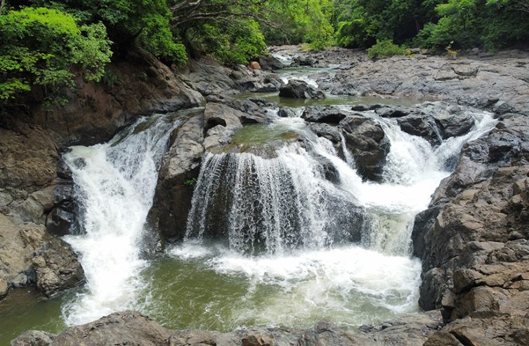 natuurwandelingen in de Nicoya