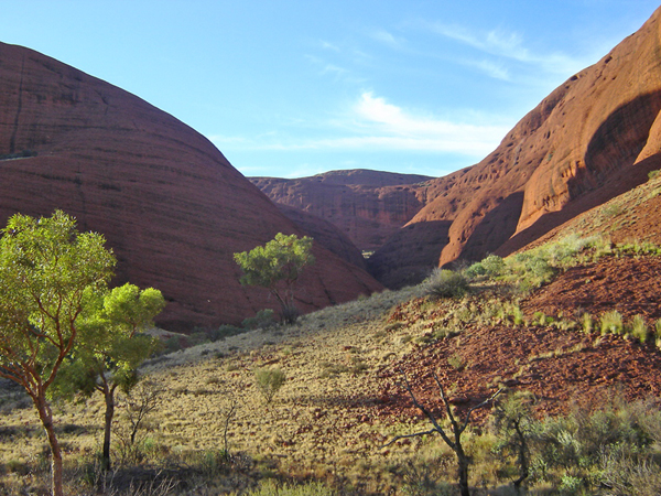 Wild heat and tiny dragons in the Outback