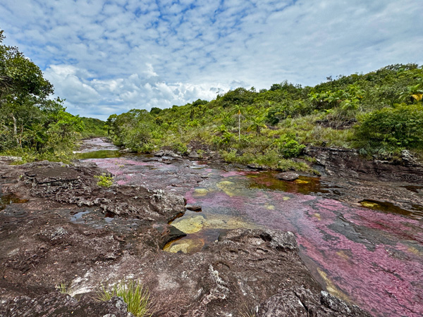 cano cristales landschap